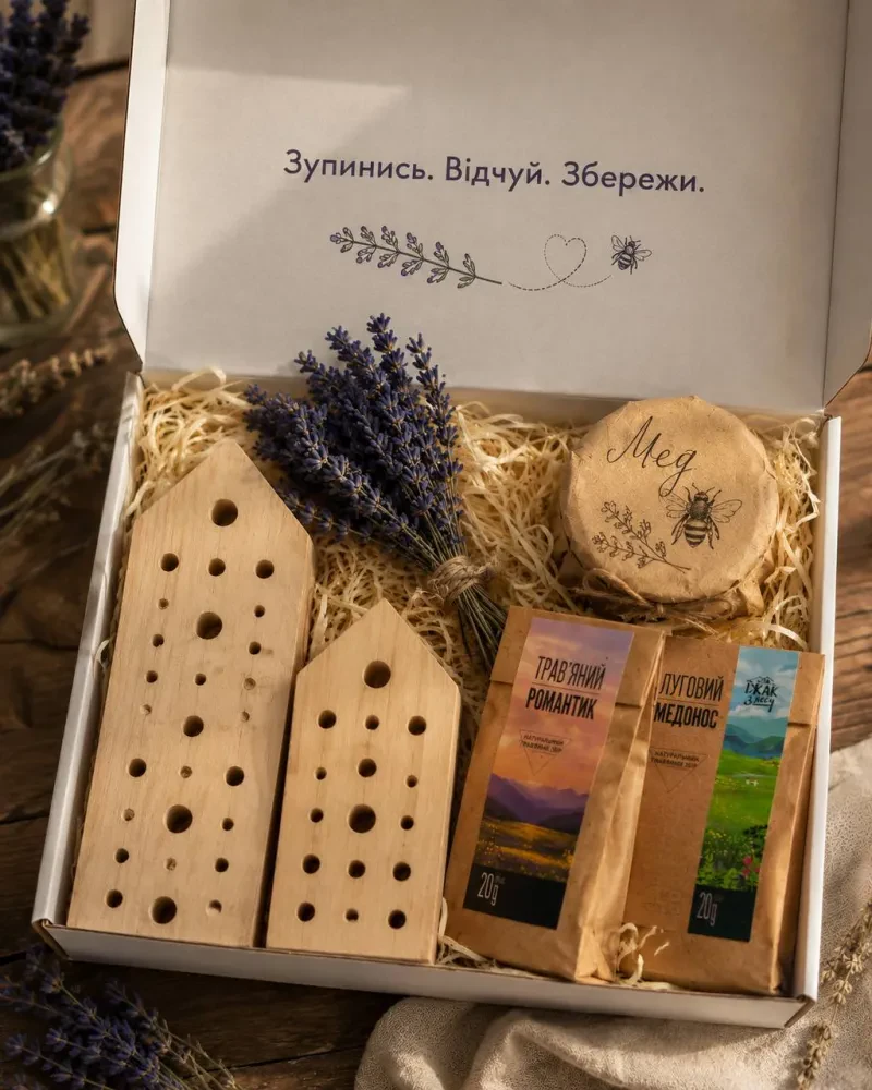 Відкрита подарункова коробка з дерев'яними будиночками для запилювачів, букетиком сухої лаванди, медом і трав'яним чаєм